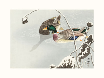 Yeşilbaşlar - Ohara Koson