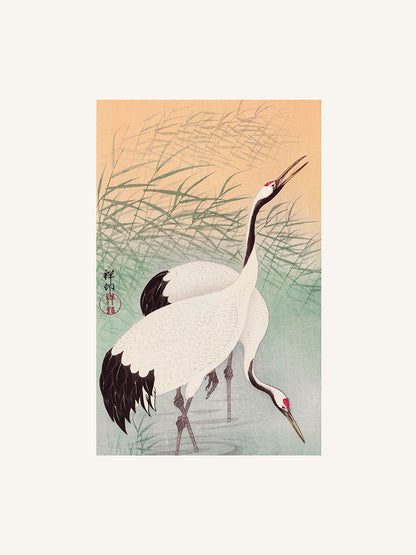 İki Turnagil (Metinsiz) - Ohara Koson