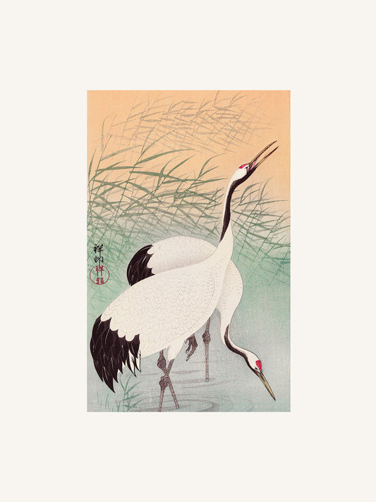 İki Turnagil (Metinsiz) - Ohara Koson