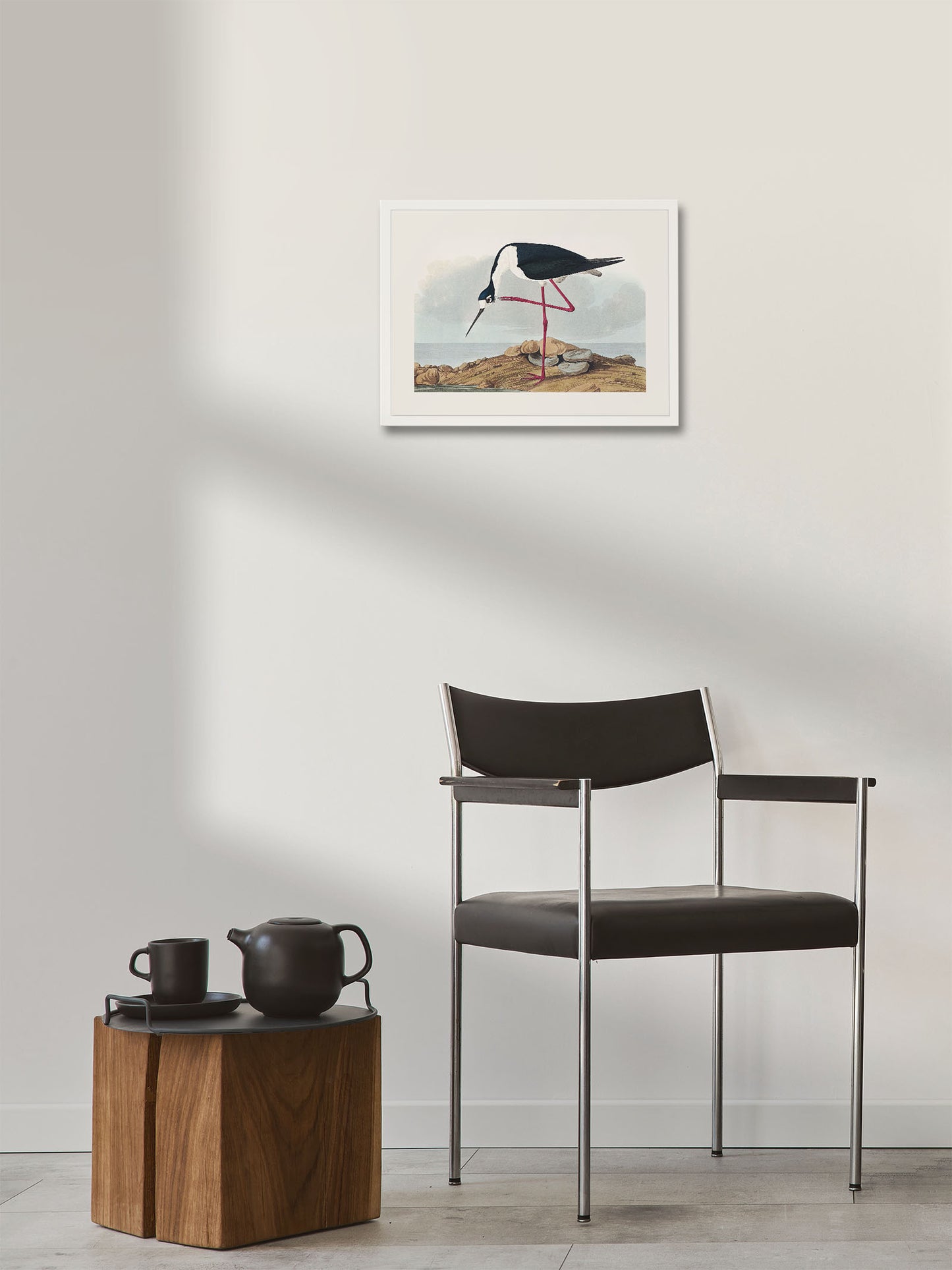 Leylek - John James Audubon