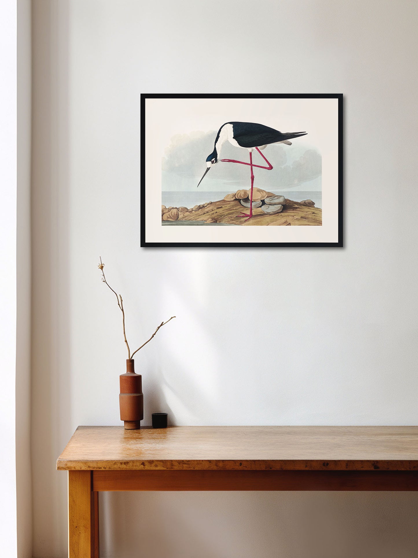Leylek - John James Audubon