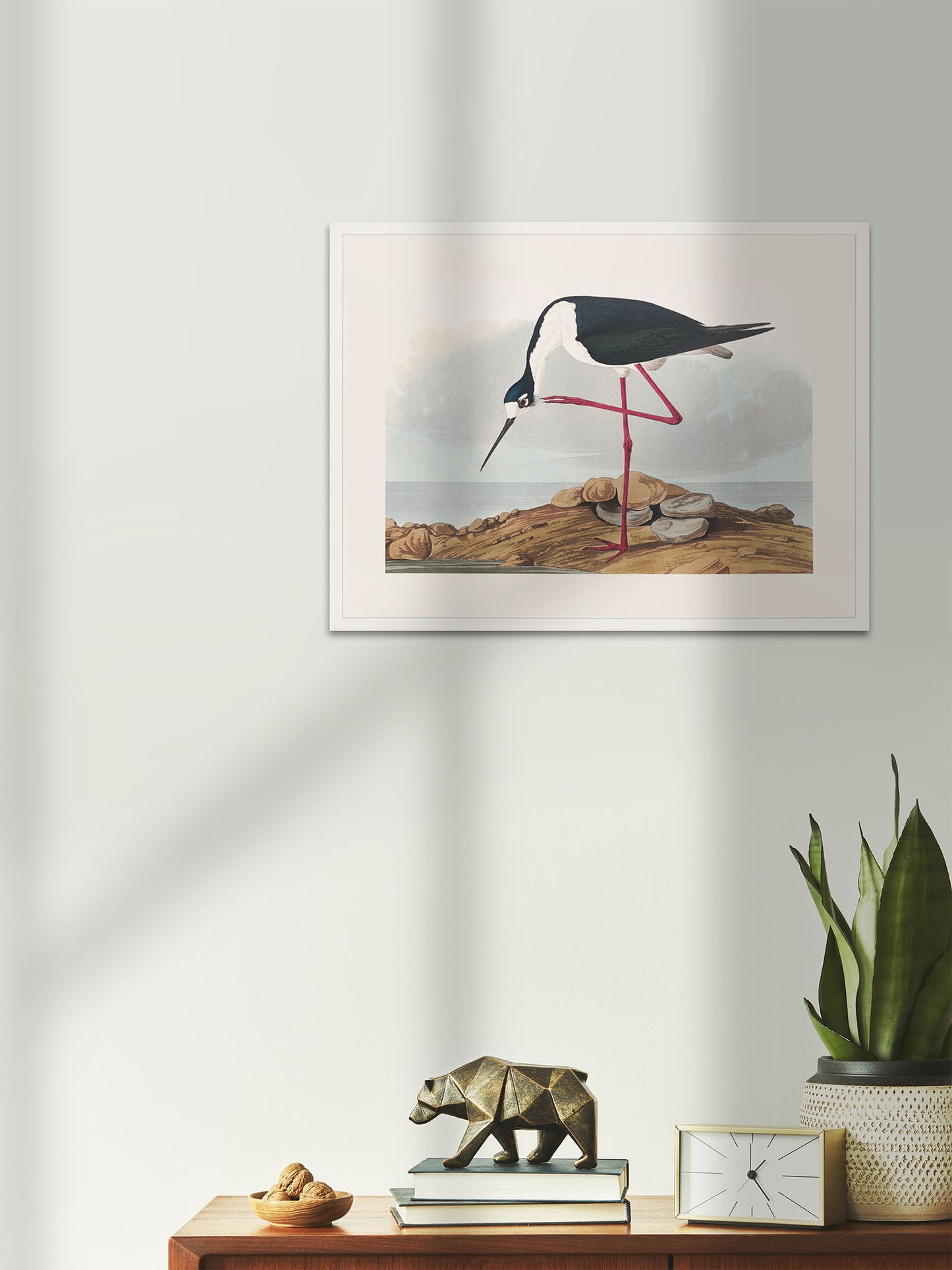 Leylek - John James Audubon