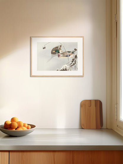 Yeşilbaşlar - Ohara Koson