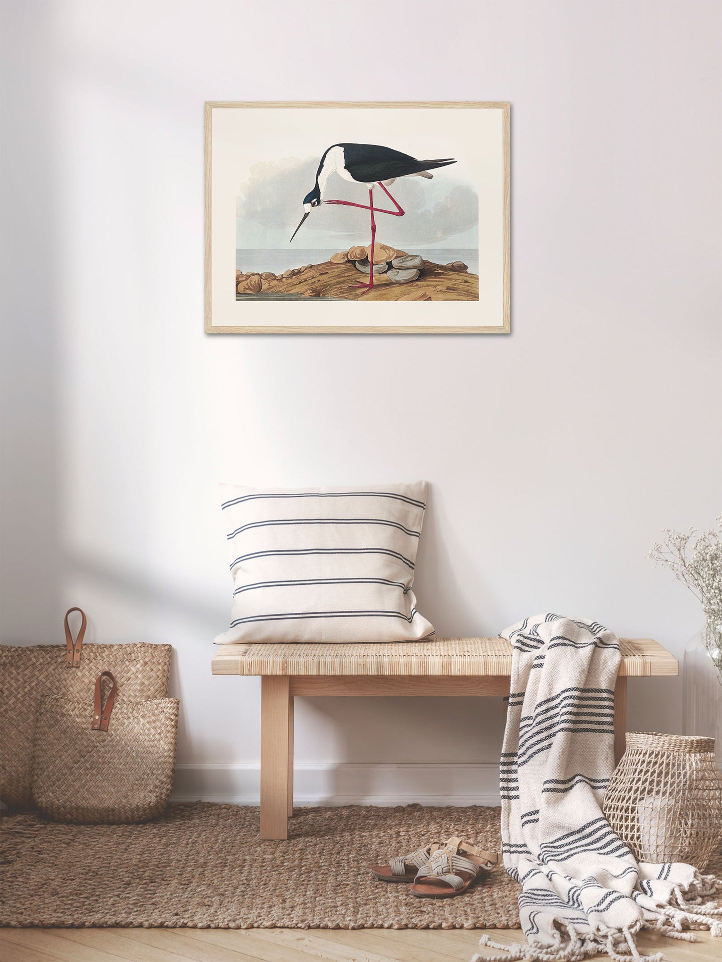 Leylek - John James Audubon