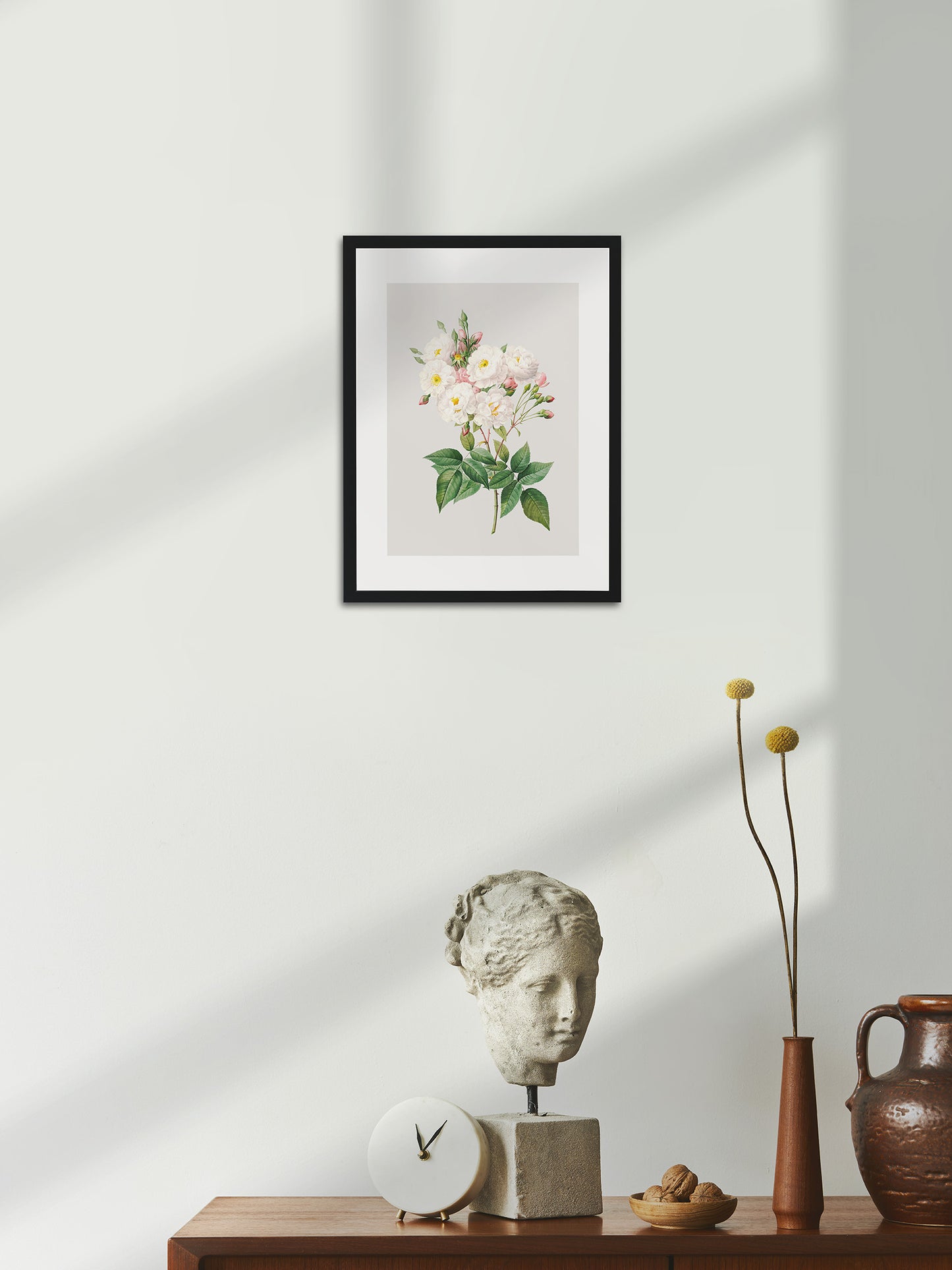 Rosa Centifolia Beyaz Gül 02 - Pierre Joseph Redoute