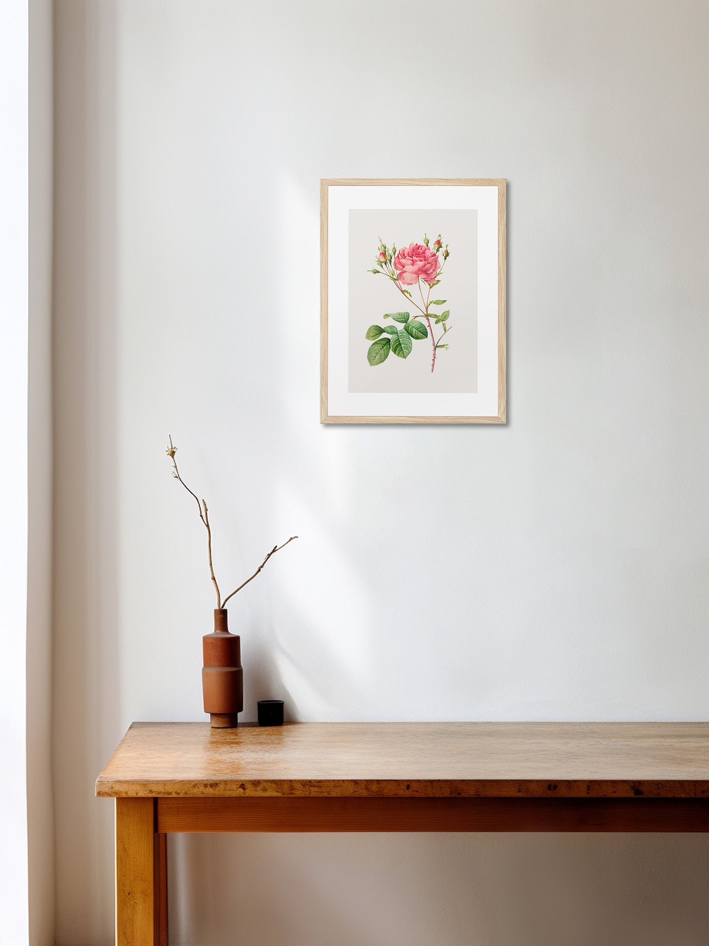 Rosa Centifolia Kırmızı Gül - Pierre Joseph Redoute