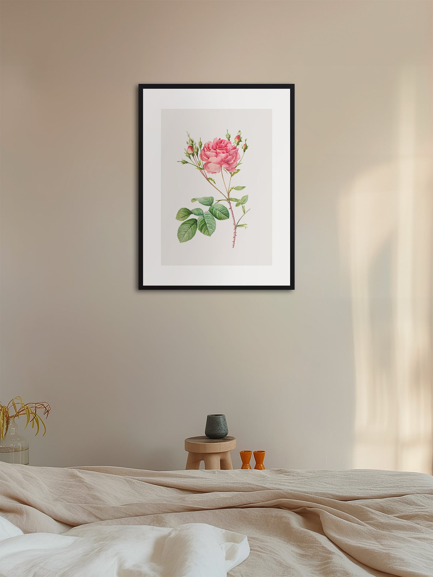 Rosa Centifolia Kırmızı Gül - Pierre Joseph Redoute
