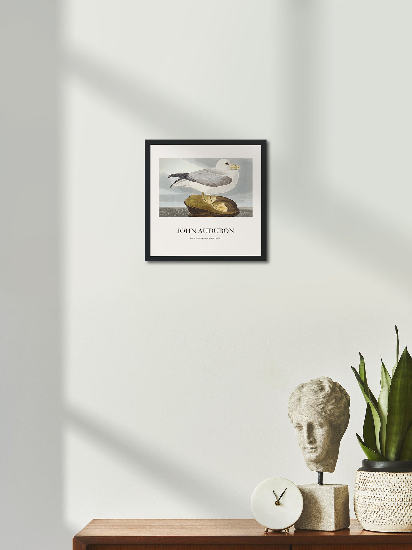 Kuzey Fulmarı - John James Audubon