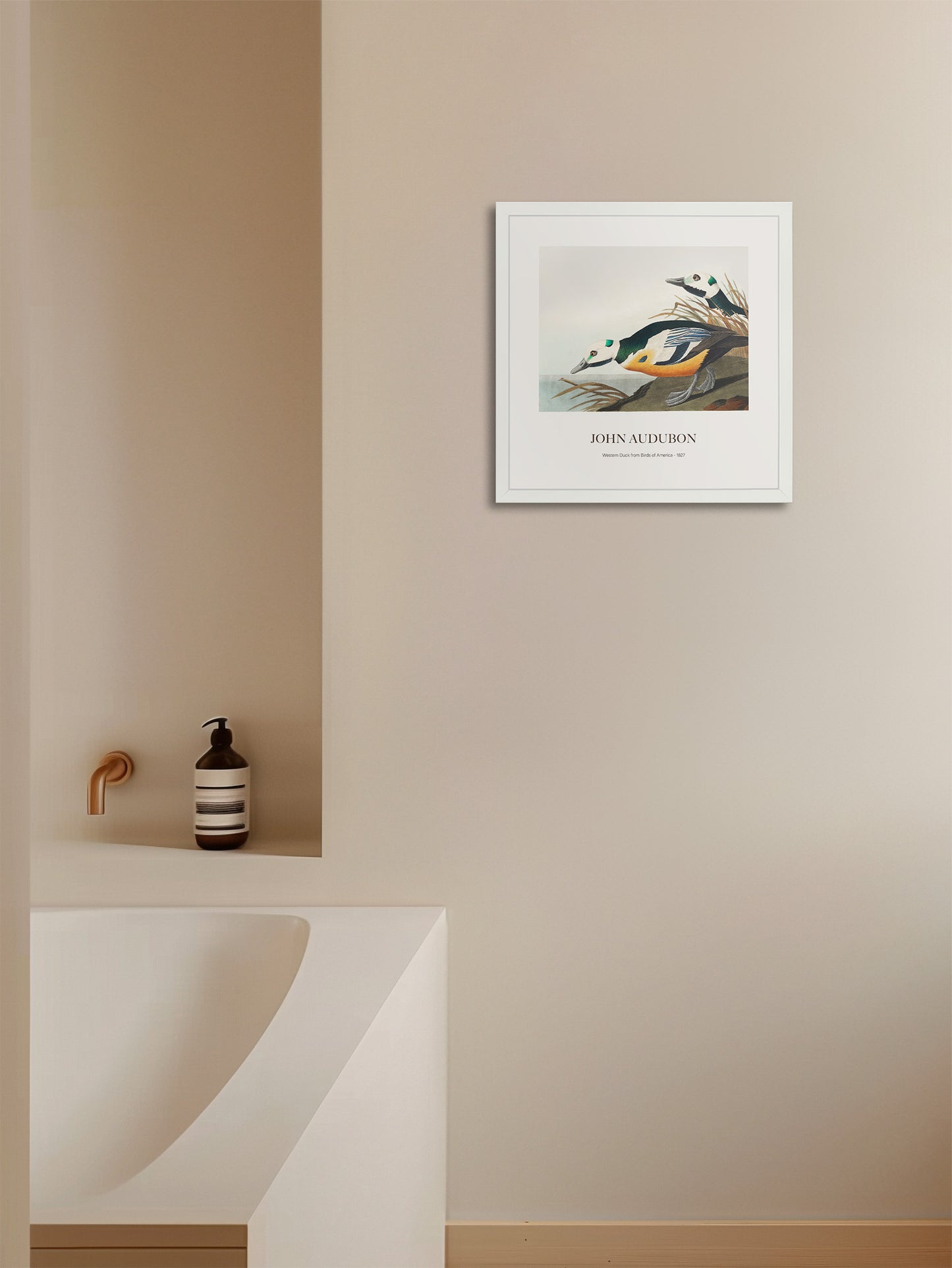 Ördek - John James Audubon