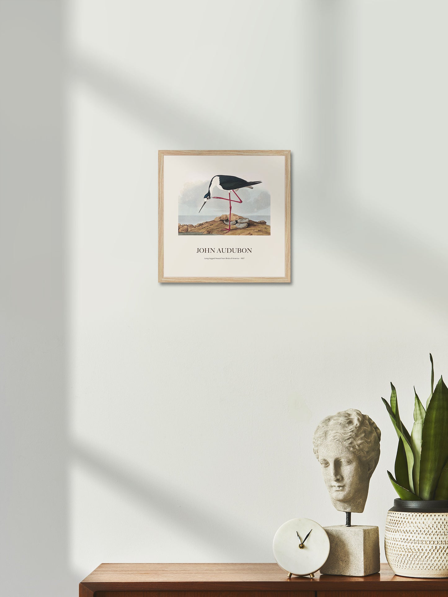Leylek - John James Audubon
