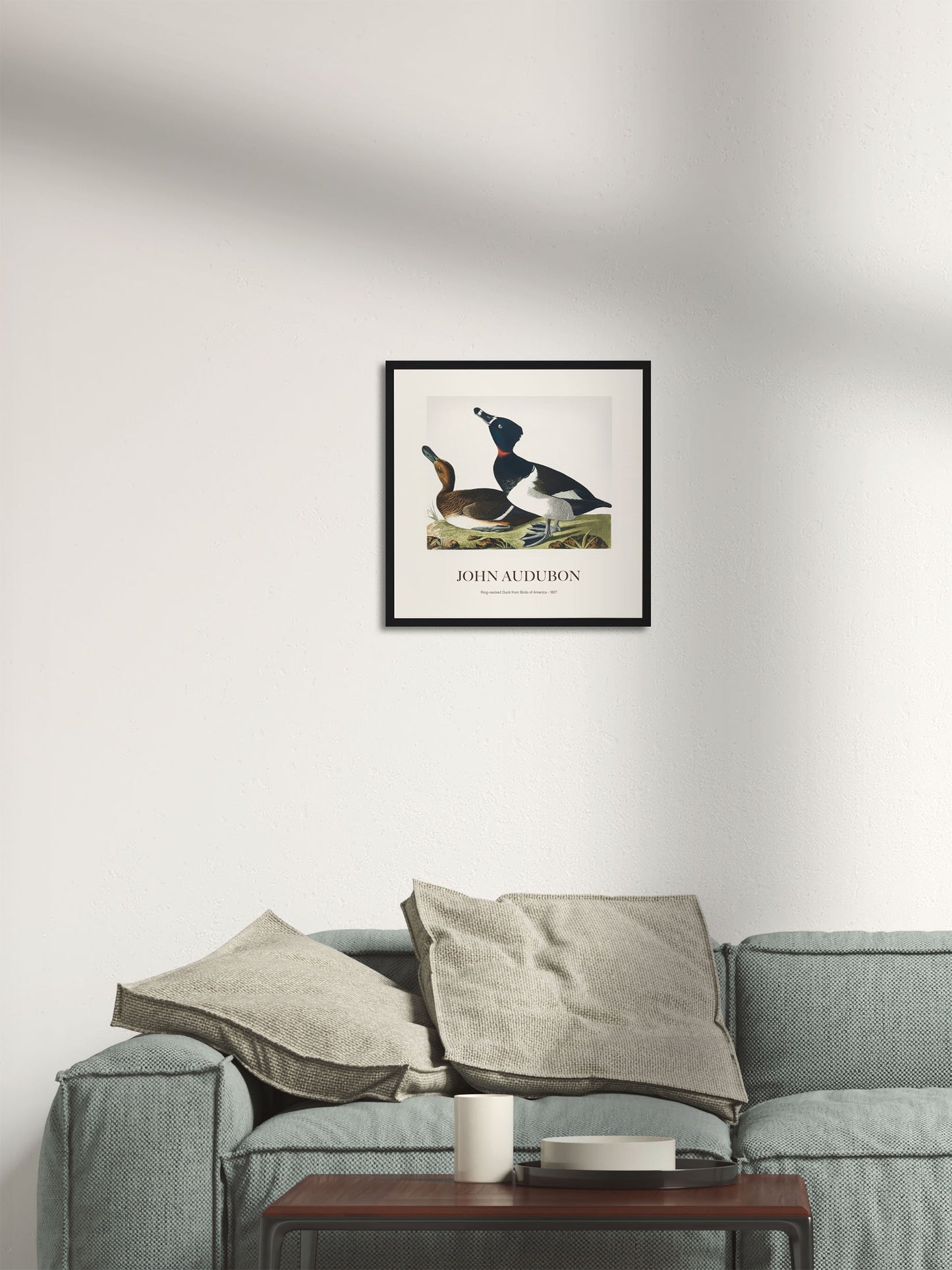 Halkalı Ördek - John James Audubon