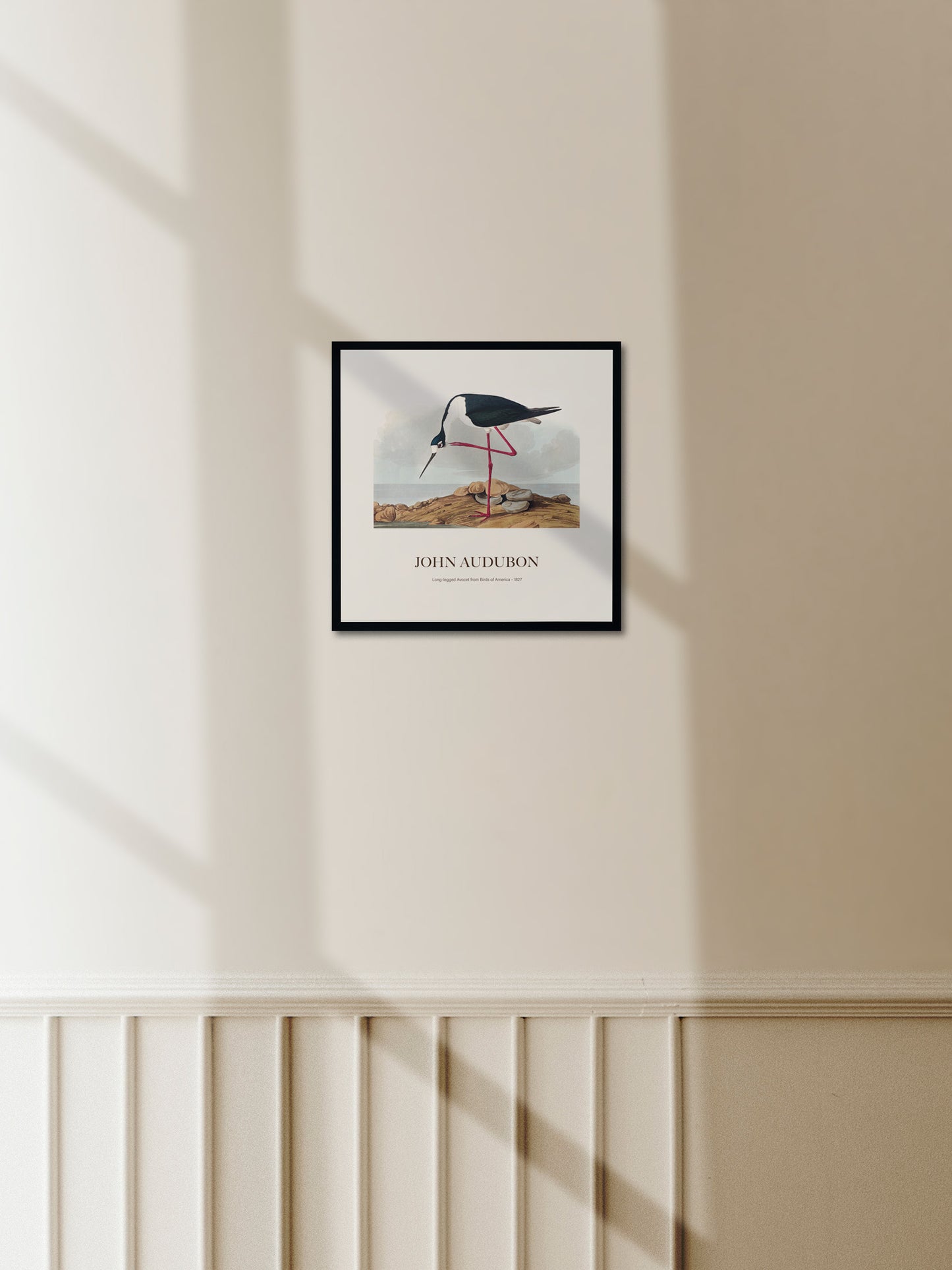 Leylek - John James Audubon