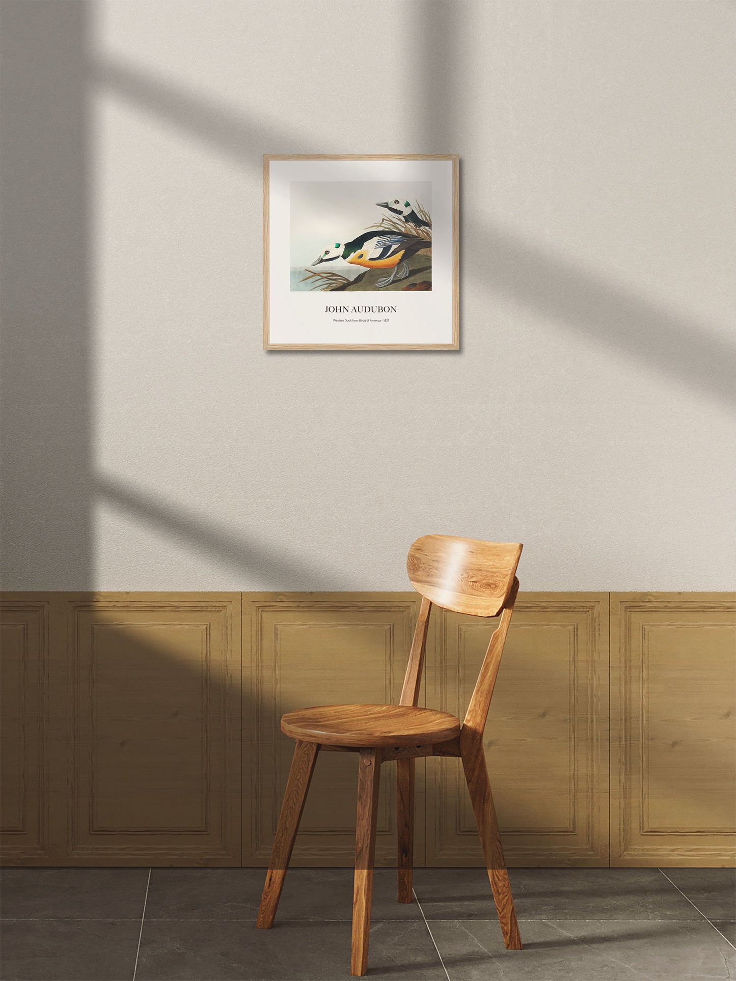 Ördek - John James Audubon