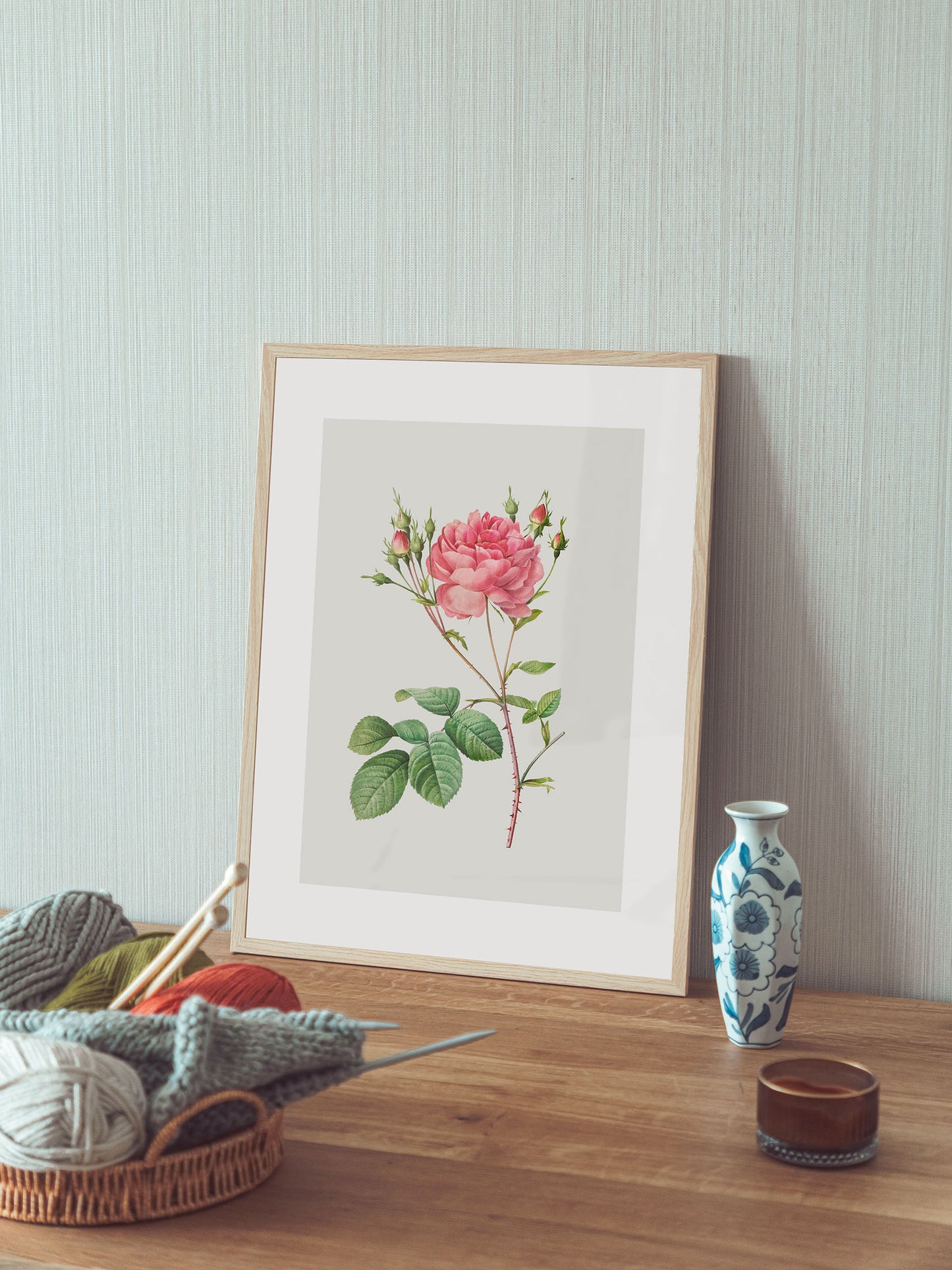 Rosa Centifolia Kırmızı Gül - Pierre Joseph Redoute