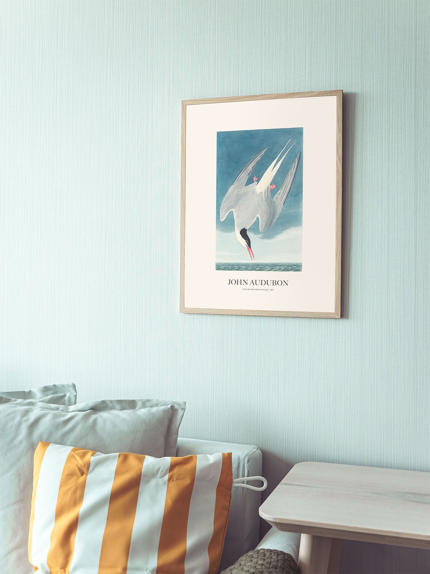 Kuzey Sumrusu - John Audubon