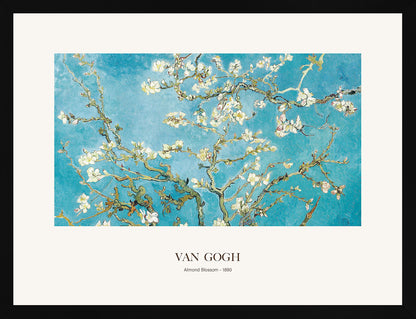 Badem Çiçeği - Vincent Van Gogh