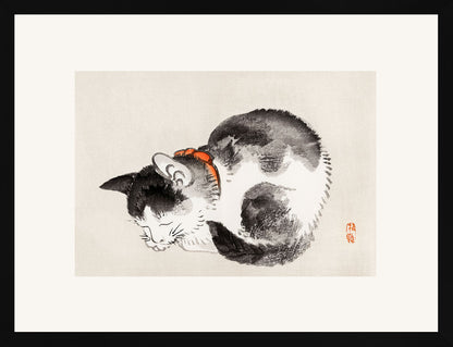 Uyuyan Kedi - Kono Bairei