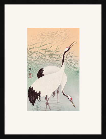 İki Turnagil (Metinsiz) - Ohara Koson