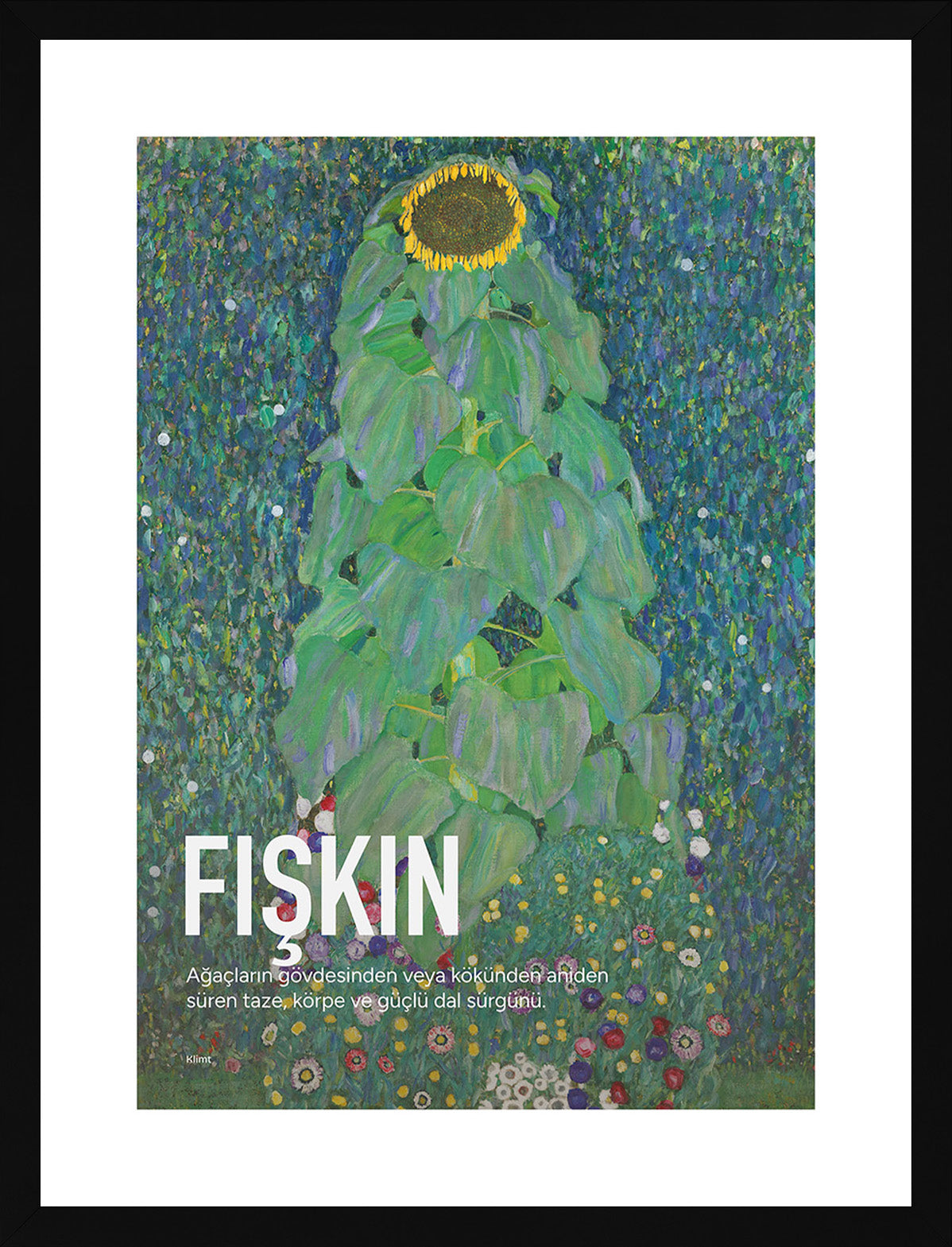 FIŞKIN - ARTKÖY STUDIO