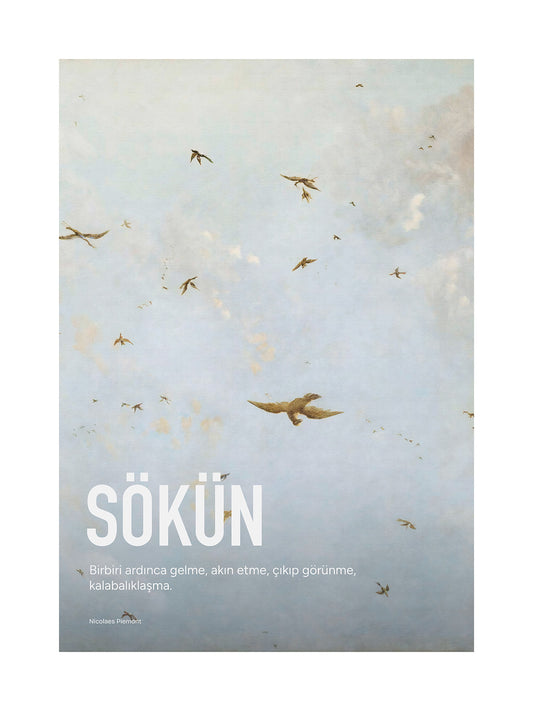 SÖKÜN - ARTKÖY STUDIO