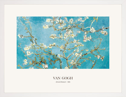 Badem Çiçeği - Vincent Van Gogh