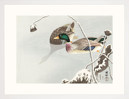Yeşilbaşlar - Ohara Koson