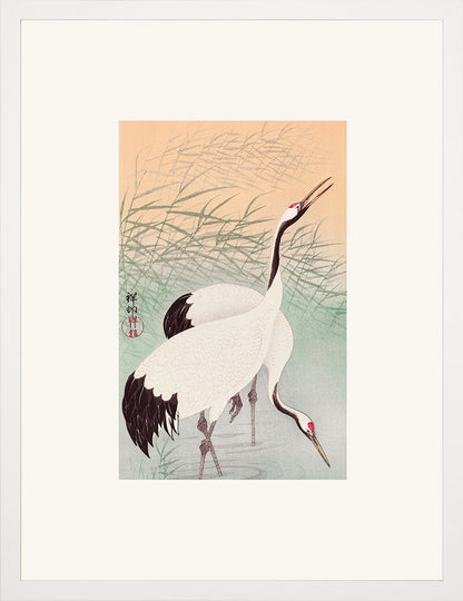 İki Turnagil (Metinsiz) - Ohara Koson