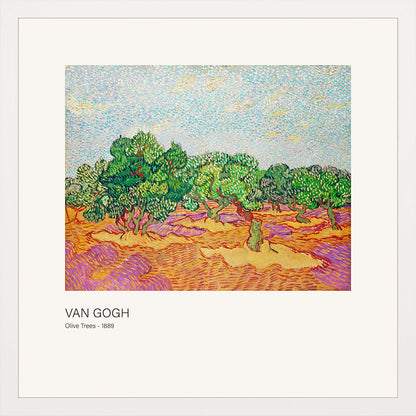 Zeytin Ağaçları - Vincent van Gogh