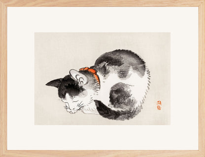 Uyuyan Kedi - Kono Bairei