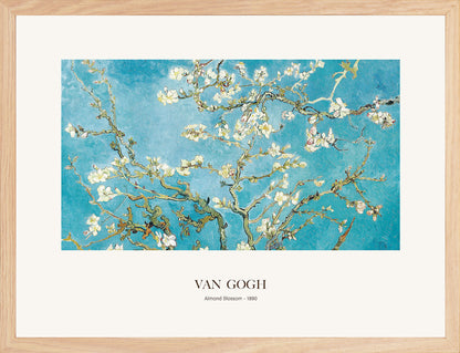 Badem Çiçeği - Vincent Van Gogh